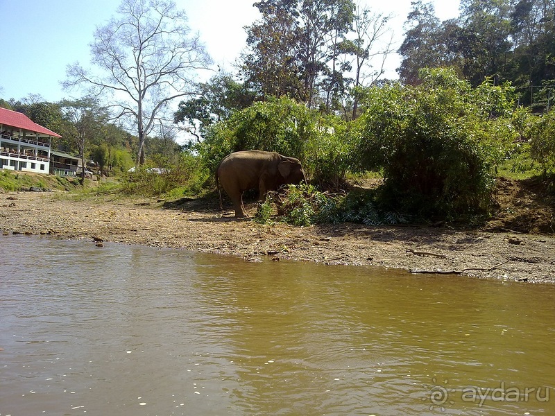Таиланд, день шестой и дальше - море. Отдыхаем дальше...