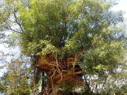 Таиланд, день шестой и дальше - море. Отдыхаем дальше...