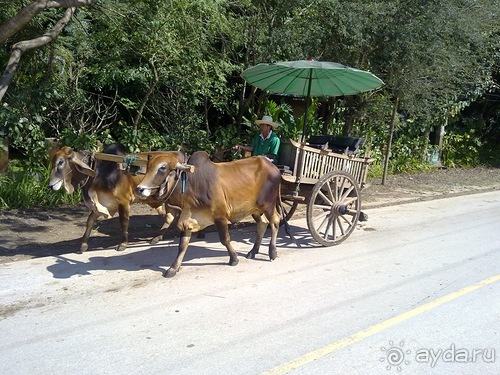 Таиланд, день шестой и дальше - море. Отдыхаем дальше...