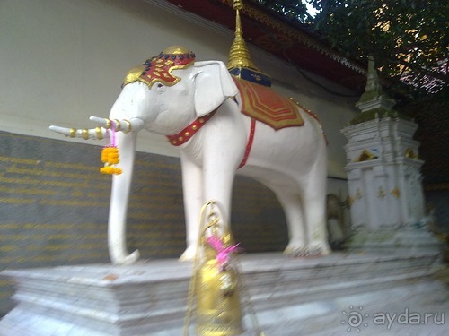 Таиланд, день шестой и дальше - море. Отдыхаем дальше...