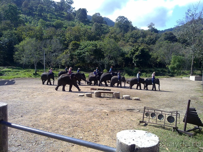 Таиланд, день шестой и дальше - море. Отдыхаем дальше...