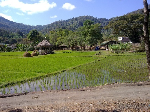 Таиланд, день шестой и дальше - море. Отдыхаем дальше...