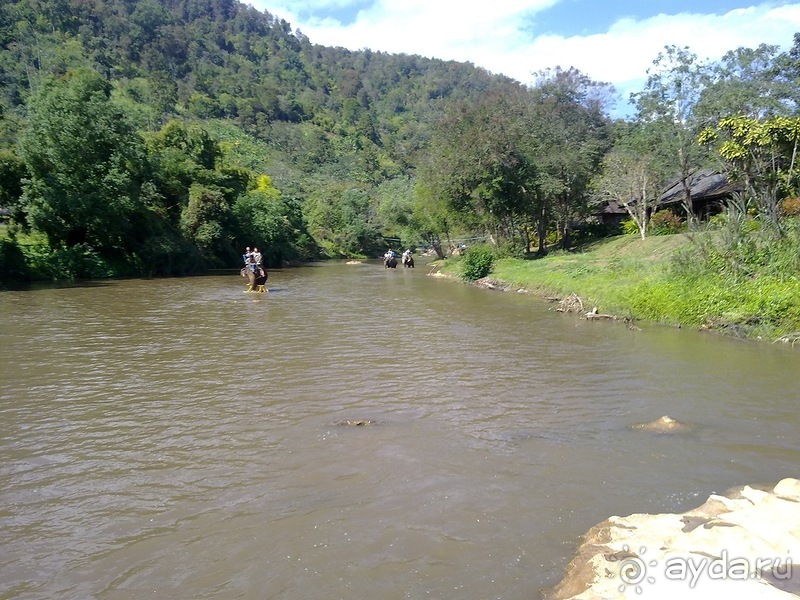 Таиланд, день шестой и дальше - море. Отдыхаем дальше...