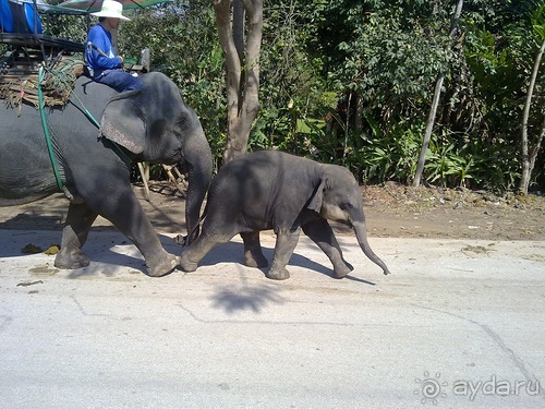 Таиланд, день шестой и дальше - море. Отдыхаем дальше...