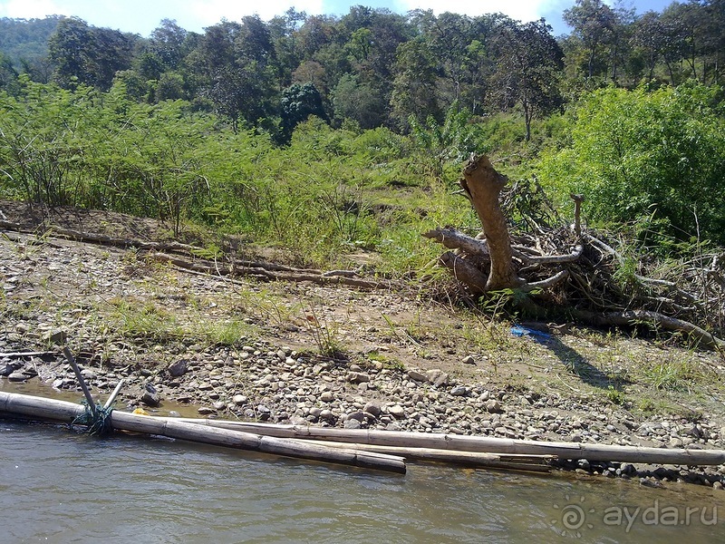 Таиланд, день шестой и дальше - море. Отдыхаем дальше...