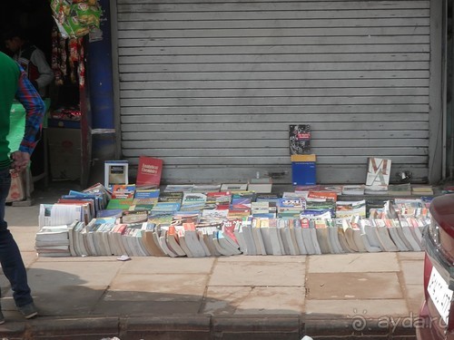 Дели (поездка в Индию по Золотому треугольнику)