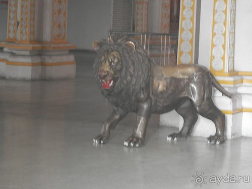 Дели (поездка в Индию по Золотому треугольнику)