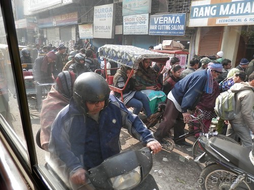Дели (поездка в Индию по Золотому треугольнику)