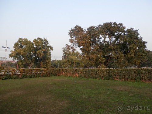 Дели (поездка в Индию по Золотому треугольнику)