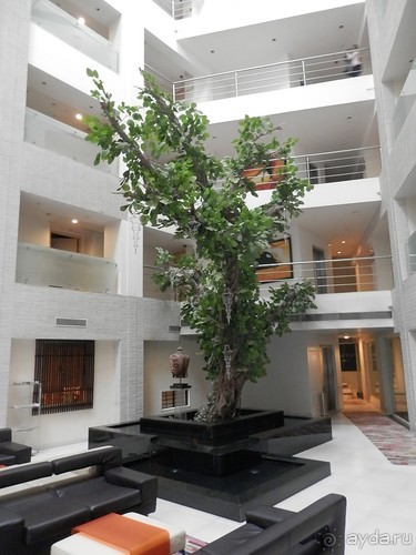 Дели (поездка в Индию по Золотому треугольнику)