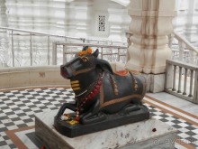 Дели (поездка в Индию по Золотому треугольнику)