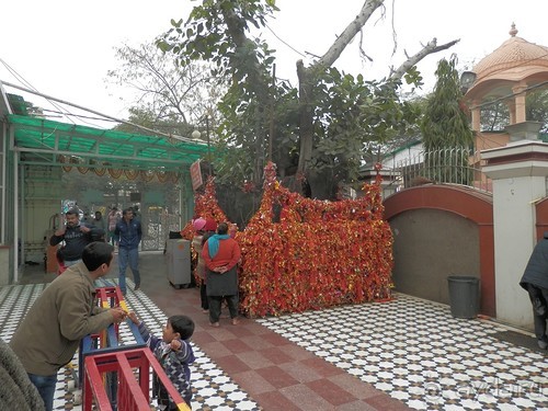 Дели (поездка в Индию по Золотому треугольнику)