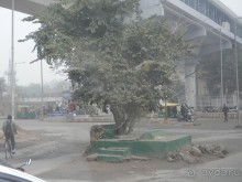 Дели (поездка в Индию по Золотому треугольнику)