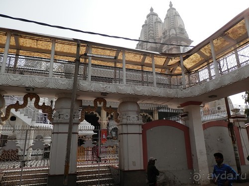 Дели (поездка в Индию по Золотому треугольнику)