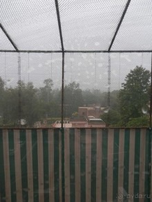 Дели (поездка в Индию по Золотому треугольнику)