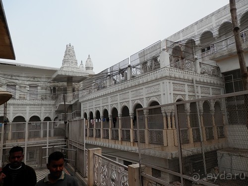 Дели (поездка в Индию по Золотому треугольнику)