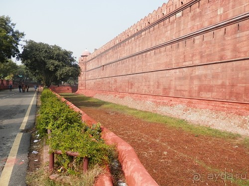 Дели (поездка в Индию по Золотому треугольнику)