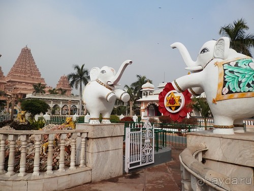 Дели (поездка в Индию по Золотому треугольнику)