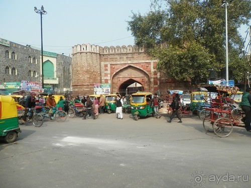 Дели (поездка в Индию по Золотому треугольнику)