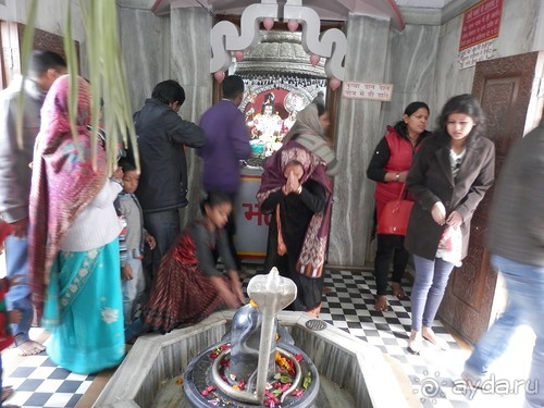 Дели (поездка в Индию по Золотому треугольнику)