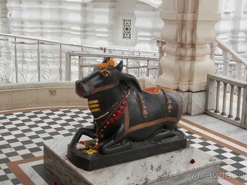 Дели (поездка в Индию по Золотому треугольнику)