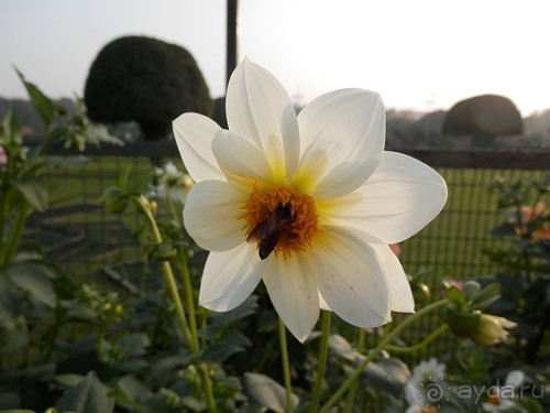 Дели (поездка в Индию по Золотому треугольнику)