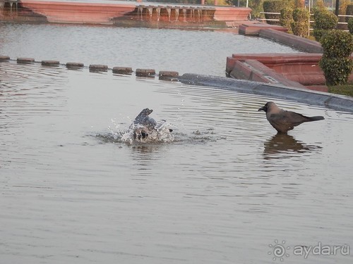 Дели (поездка в Индию по Золотому треугольнику)