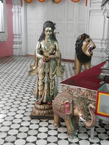 Дели (поездка в Индию по Золотому треугольнику)