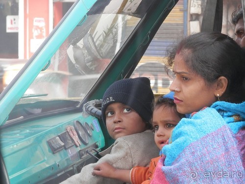 Дели (поездка в Индию по Золотому треугольнику)