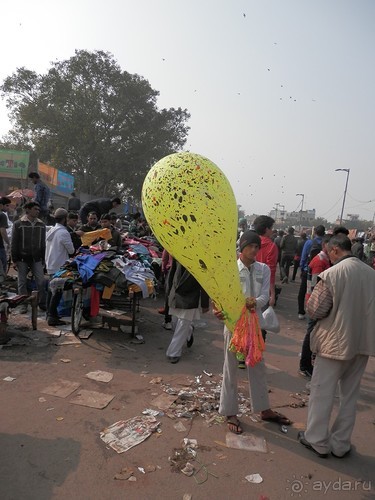 Дели (поездка в Индию по Золотому треугольнику)