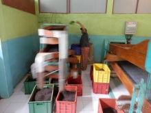 Шри-Ланка - как делают чай