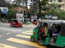 Шри-Ланка - как делают чай