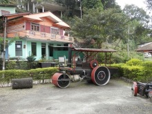 Шри-Ланка - как делают чай