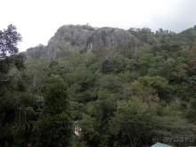 Шри-Ланка - как делают чай