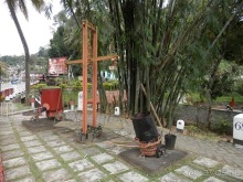 Шри-Ланка - как делают чай