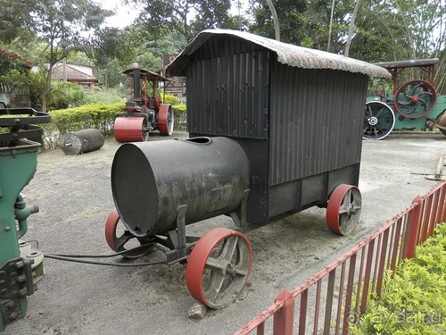 Шри-Ланка - как делают чай