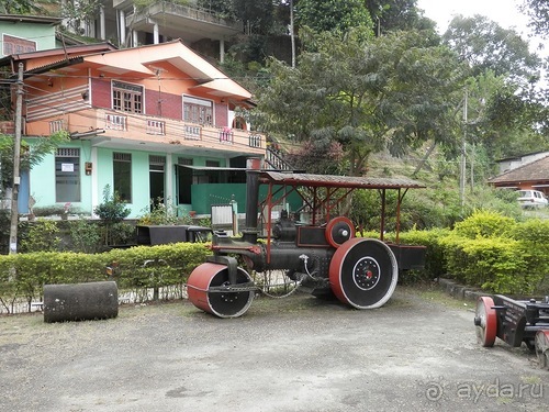 Шри-Ланка - как делают чай