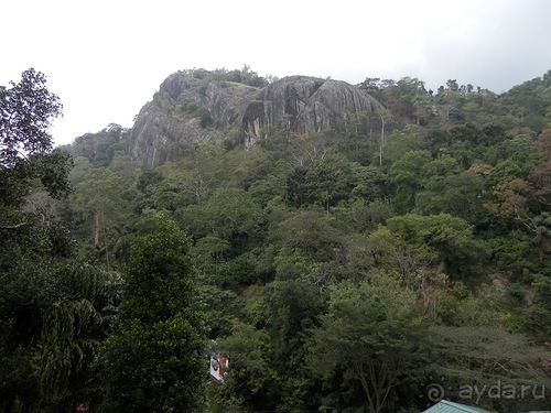 Шри-Ланка - как делают чай