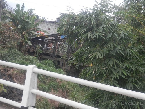 Шри-Ланка - как делают чай