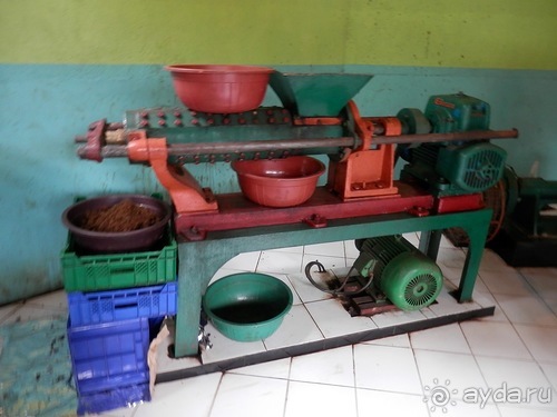 Шри-Ланка - как делают чай