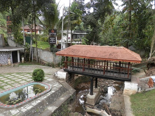 Шри-Ланка - как делают чай