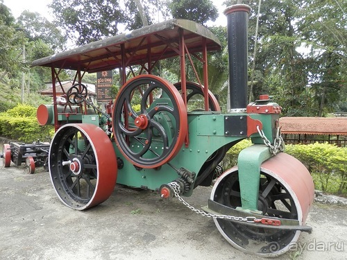 Шри-Ланка - как делают чай