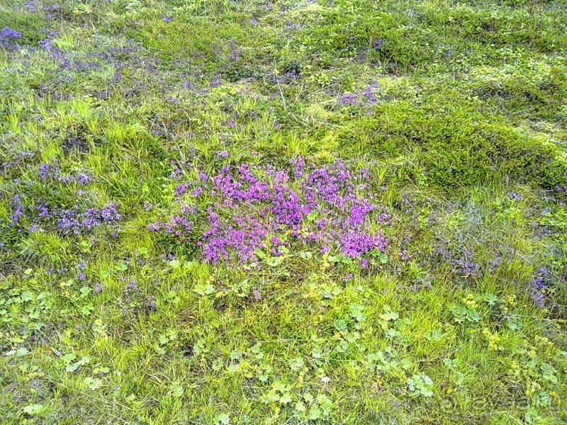 Исландия, день третий