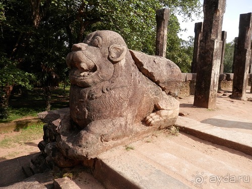 Шри-Ланка - первые впечатления