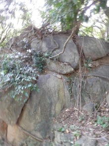 Шри-Ланка - первые впечатления