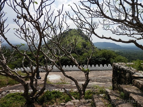Шри-Ланка - первые впечатления