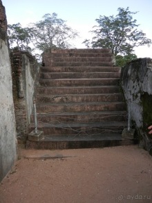 Шри-Ланка - первые впечатления