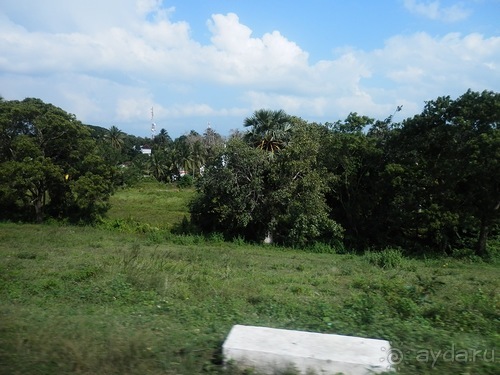 Шри-Ланка - первые впечатления