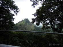 Шри-Ланка - первые впечатления