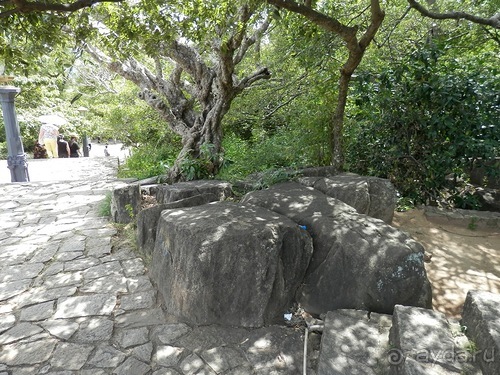 Шри-Ланка - первые впечатления